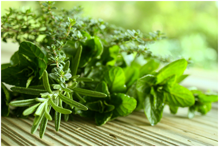 Alfresco: Natural Mozzie Repellent