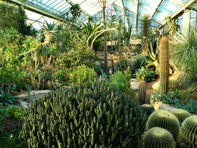 Why Your Garden Lighting Could Be Attracting Mosquitoes