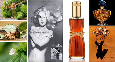 WELCOME TO OUR NEW ALFRESCOSHOP