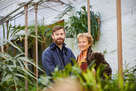 Patio Plants