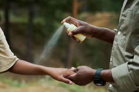 Embrace the Great Outdoors: Natural Insect Repellent Tips for Hiking and Camping