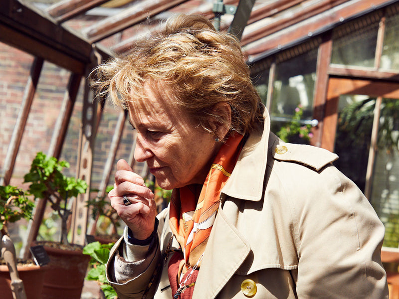 Beyond the Campsite: Natural Insect Repellent for Garden Living