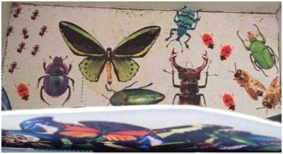 Why Use The Best Insect Repellent Whilst Dancing? And/ or Playing Football?