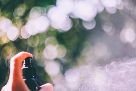 Embracing Natural Insect Repellents for a Family-Friendly Summer Vacation in 2024