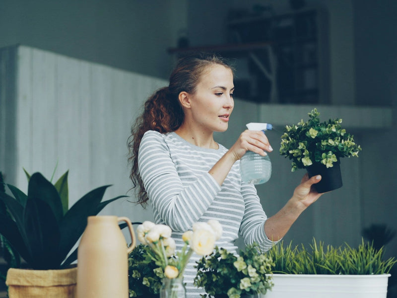 Summer Host Essentials: Bite-Free Outdoor Entertaining With Natural Repellents